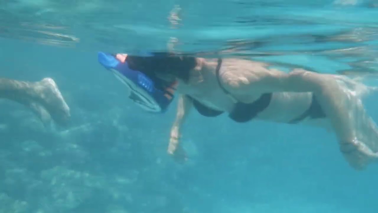 Young snorkeler in Abu Dabbab Bay, Nov. 2025