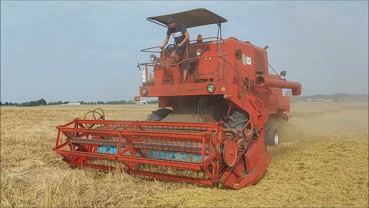 Niezapomniane Żniwa 2021 Piękny Ryk bizona