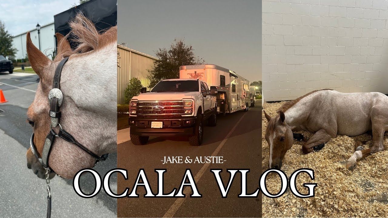 OCALA VLOG: behind the scenes at an AQHA horse show