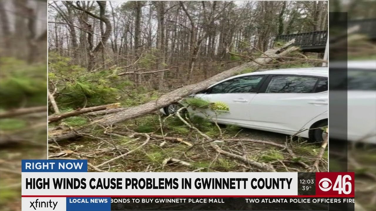 Trees, traffic lights, traffic signs tumble in high winds