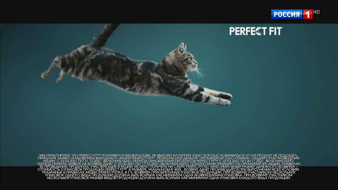 Реклама Perfect Fit (2021)