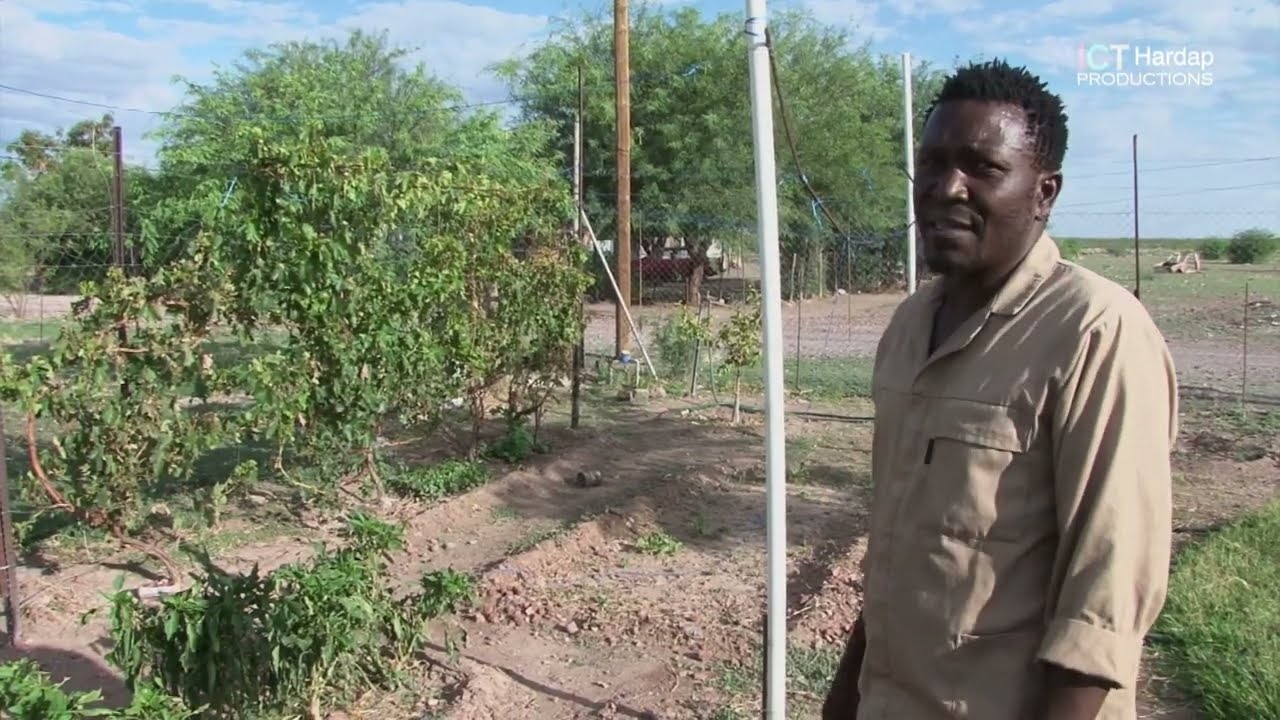 Youth in farming, Horticulture and Innovation Hoachanas MICTHardap2023