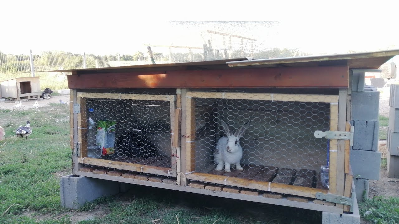 O noua cușcă pentru iepuri!