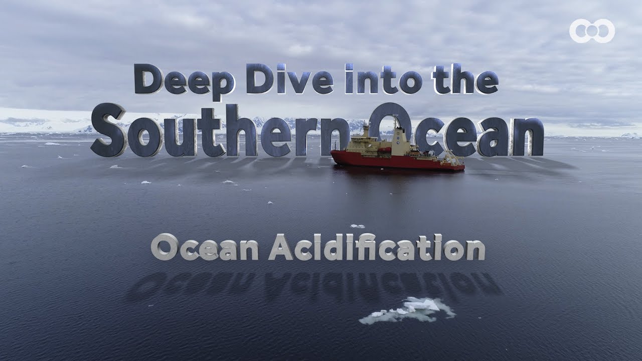 Deep Dive: Ocean Acidification