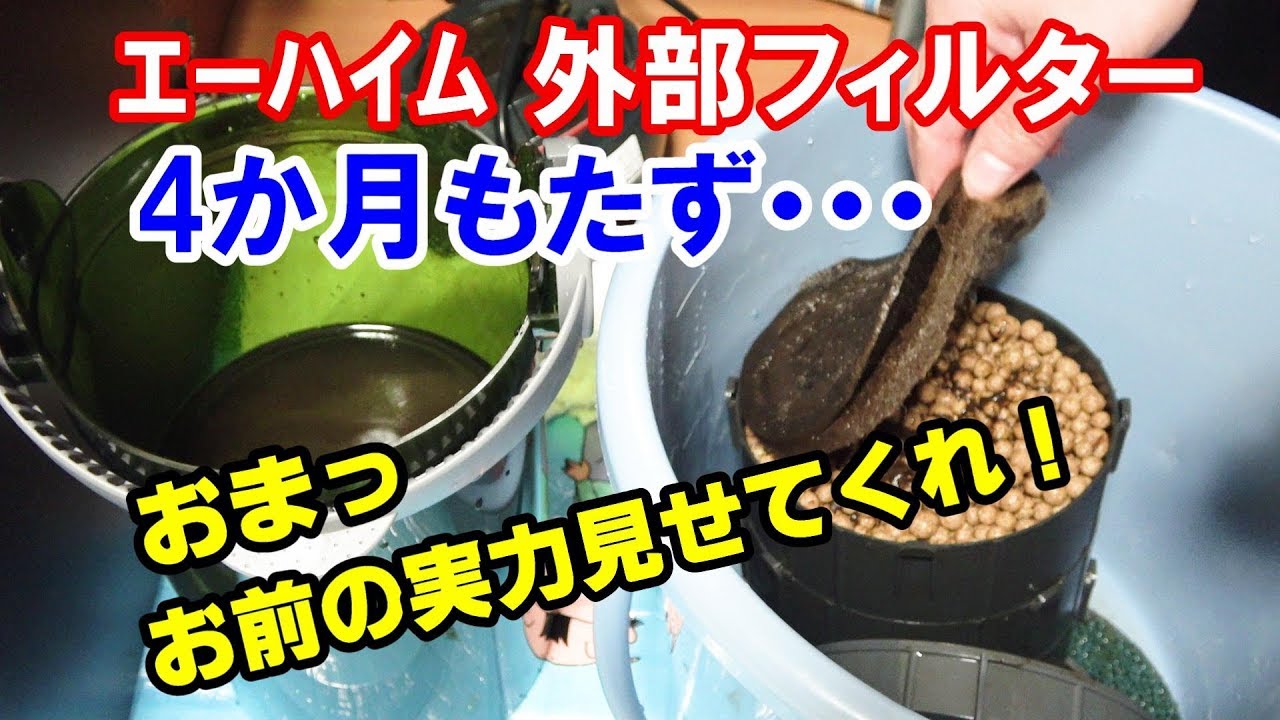 濾過しなくなった・・・早くもﾌｨﾙﾀｰﾒﾝﾃﾅﾝｽ【ｴｰﾊｲﾑ外部ﾌｨﾙﾀｰ ｴｺ ｺﾝﾌｫｰﾄ2236】【日淡水槽90cm#23】アクアリウム