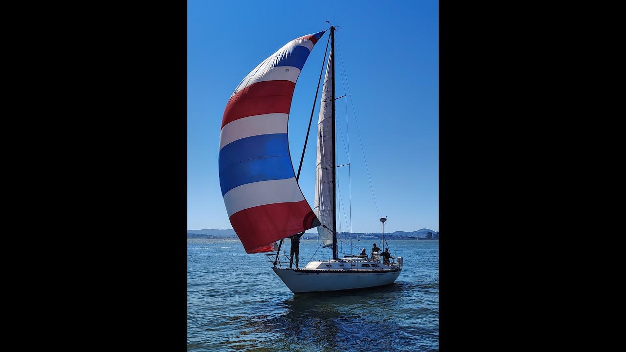 Sailing with Harold, Zelda and George March 2026