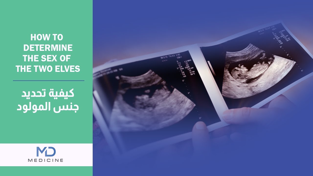 How to preserve fertility - Dr Antoine Hanoun @mdmedicine.network