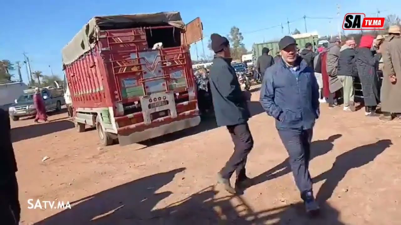 فيديو من تملالت .. عملية وشم سلالة السردي استعدادا لعيد الأضحى 