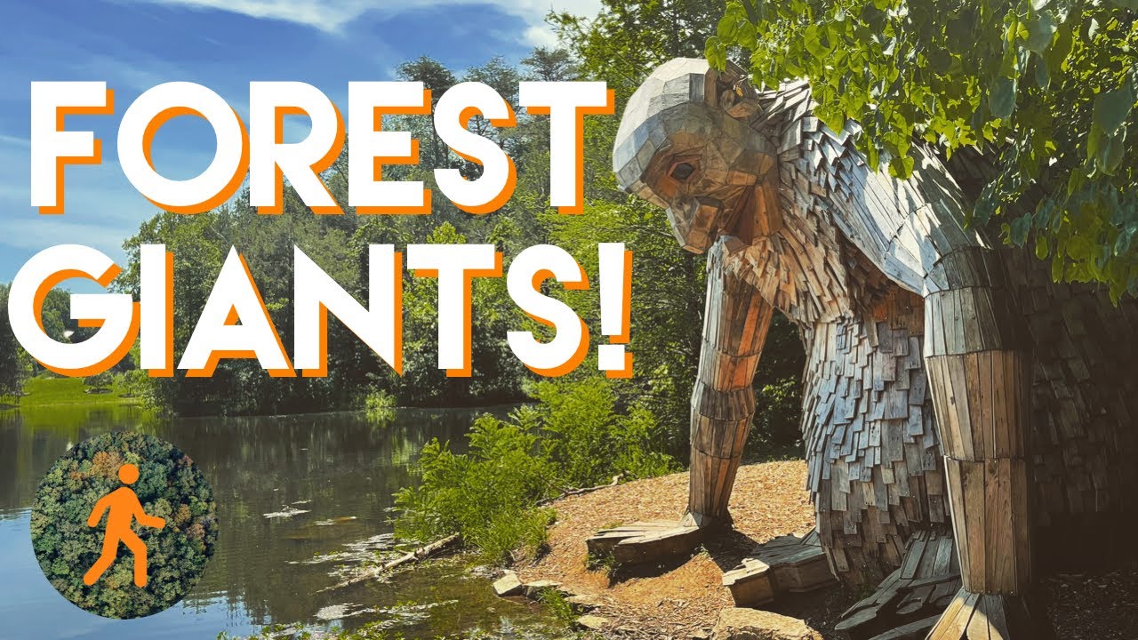 The Forest Giants - Exploring Bernheim Forest in Kentucky - 4K Virtual Hike