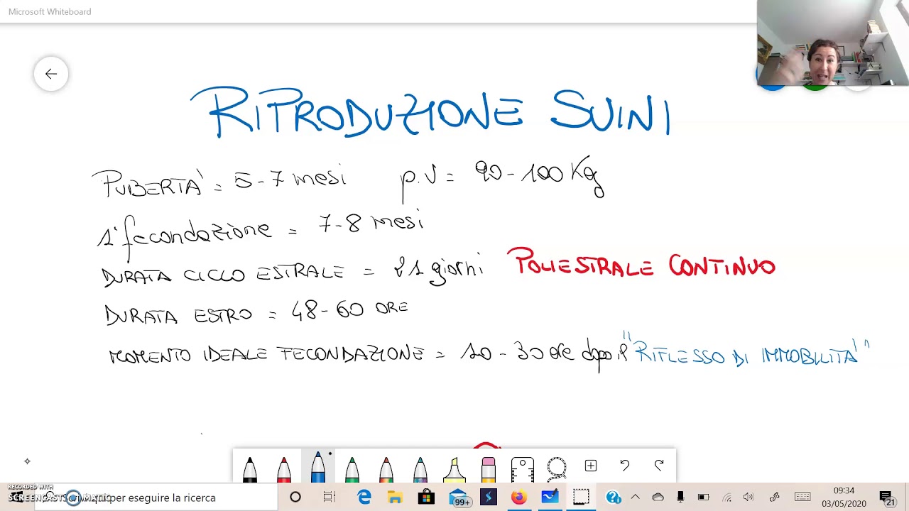 riproduzione suini