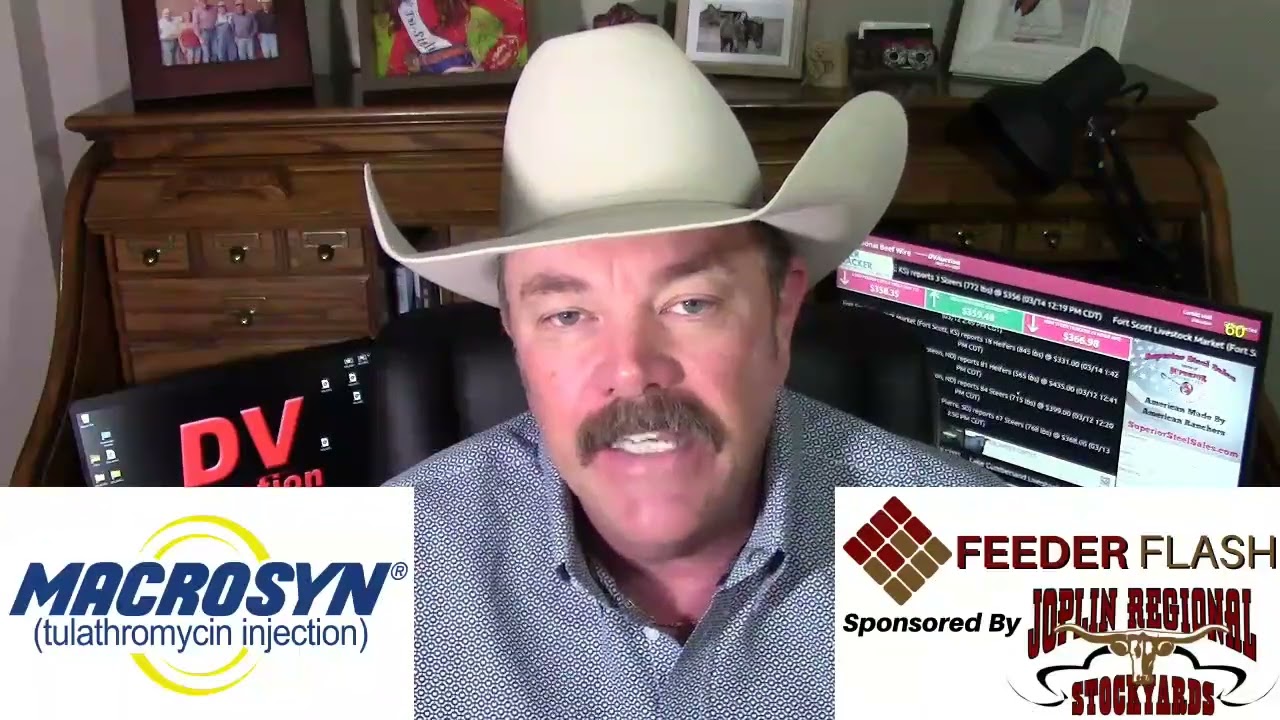 Вспышка лесного пожара 16 марта: пожары на Северных равнинах