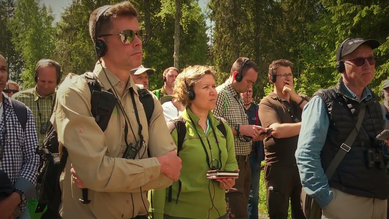 Konverents metsas? Eustafor 2022 aftermovie
