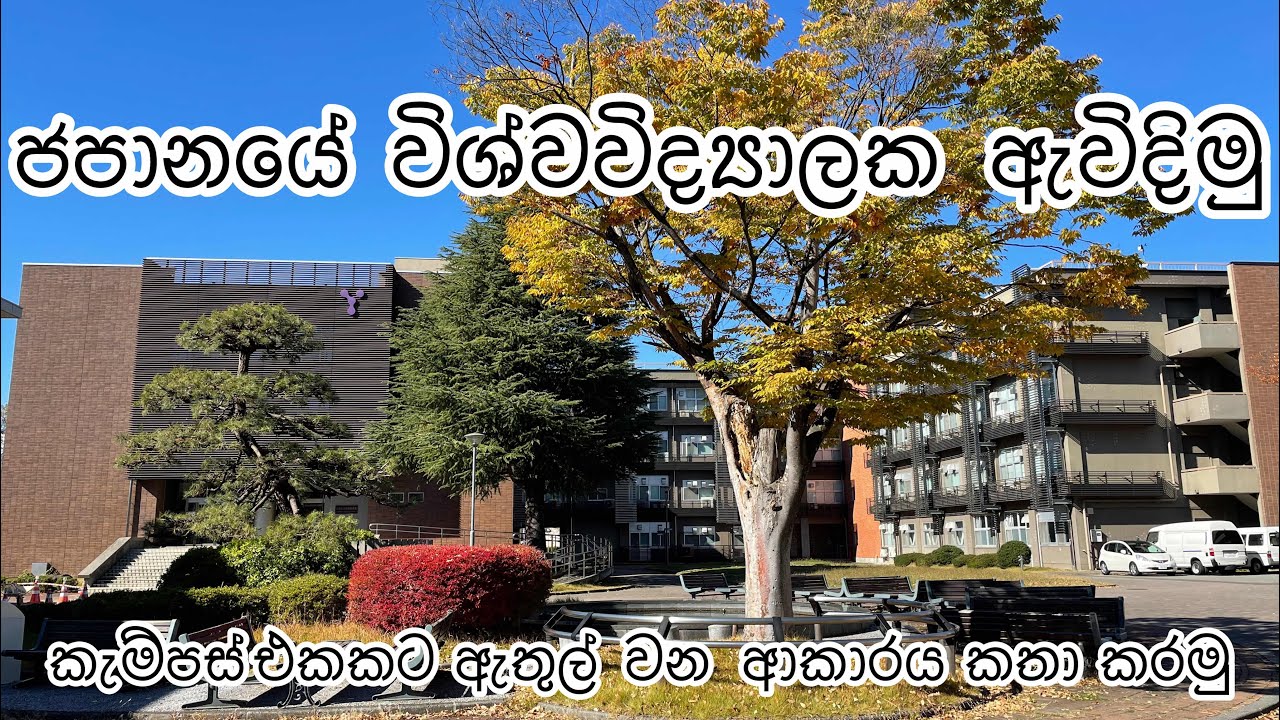 ජපානයේ විශ්වවිද්‍යාලයක ඇවිදින ගමන්,ඇතුල්වන ආකාරය ගැන කතාකරමු-How to enter the University in Japan-E2