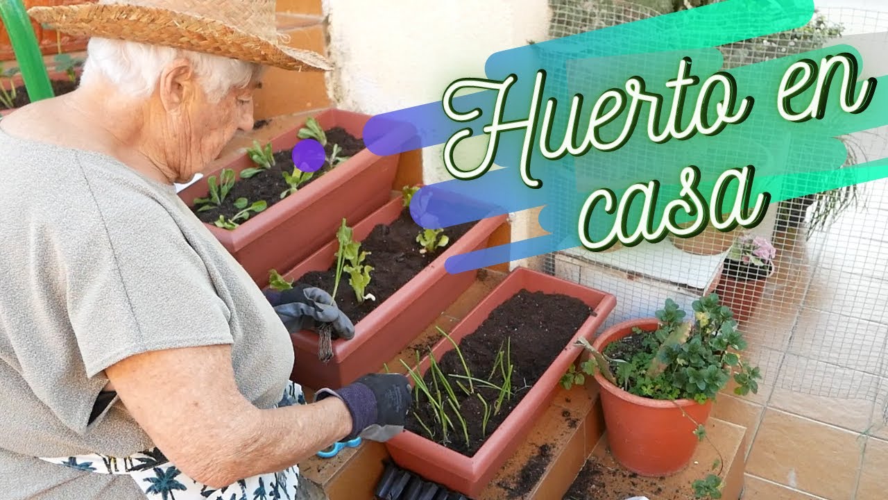 Como hacer tu HUERTO URBANO en casa / Consejos y trucos