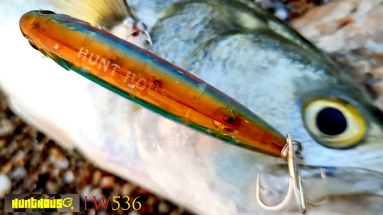 HUNT HOUSE LW536 TopWater Pencil