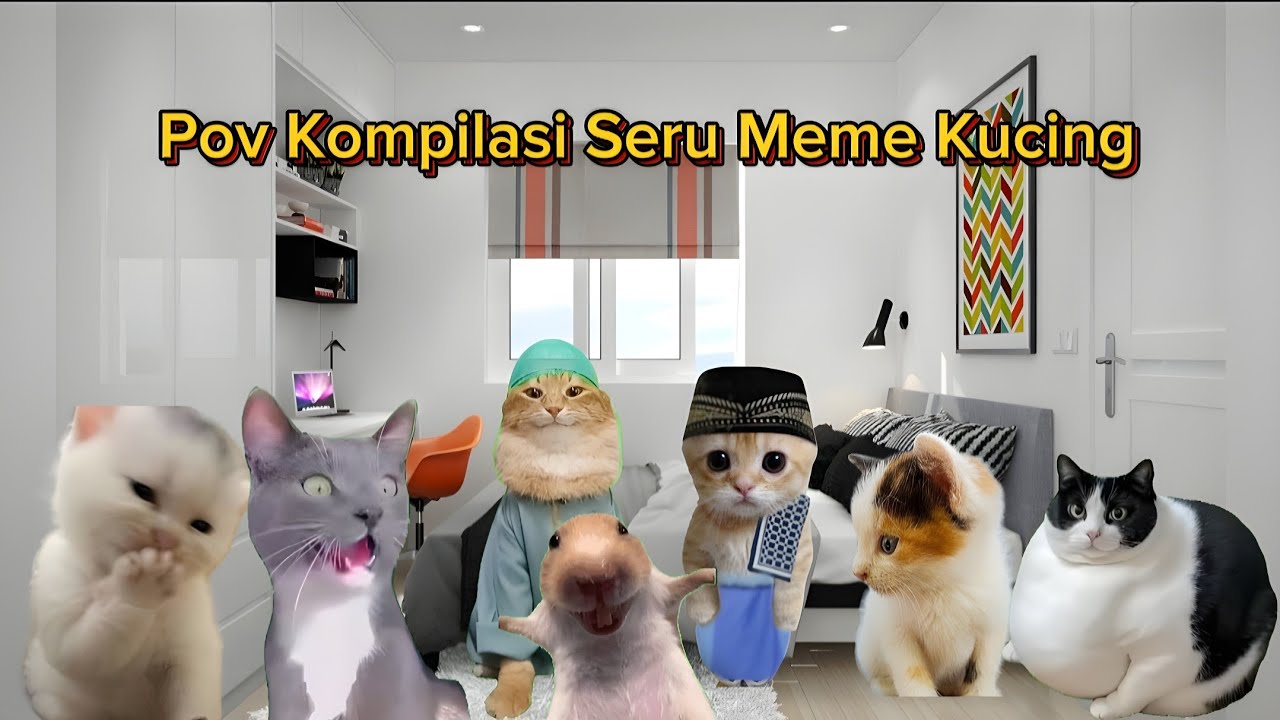 Pov Kucing Kompilasi | meme kucing lucu #pov #meme #kucing #cat