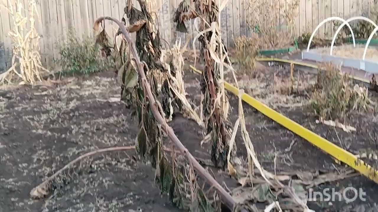 Завершаю сезон 2025г.