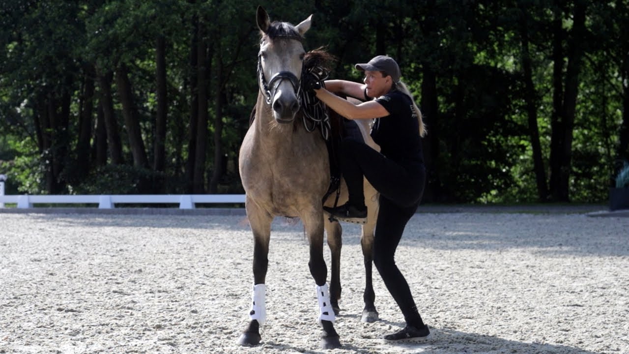 Stute bockt jeden Reiter ab - Wie dieses Pferd reitbar bekommen? | Letzte Chance für Golden Girl