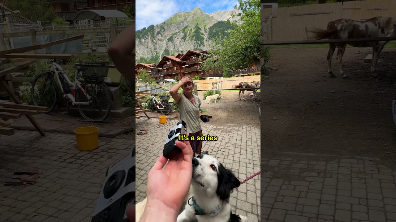 Giving disposable cameras to strangers #disposablecamera #lifeonfilm