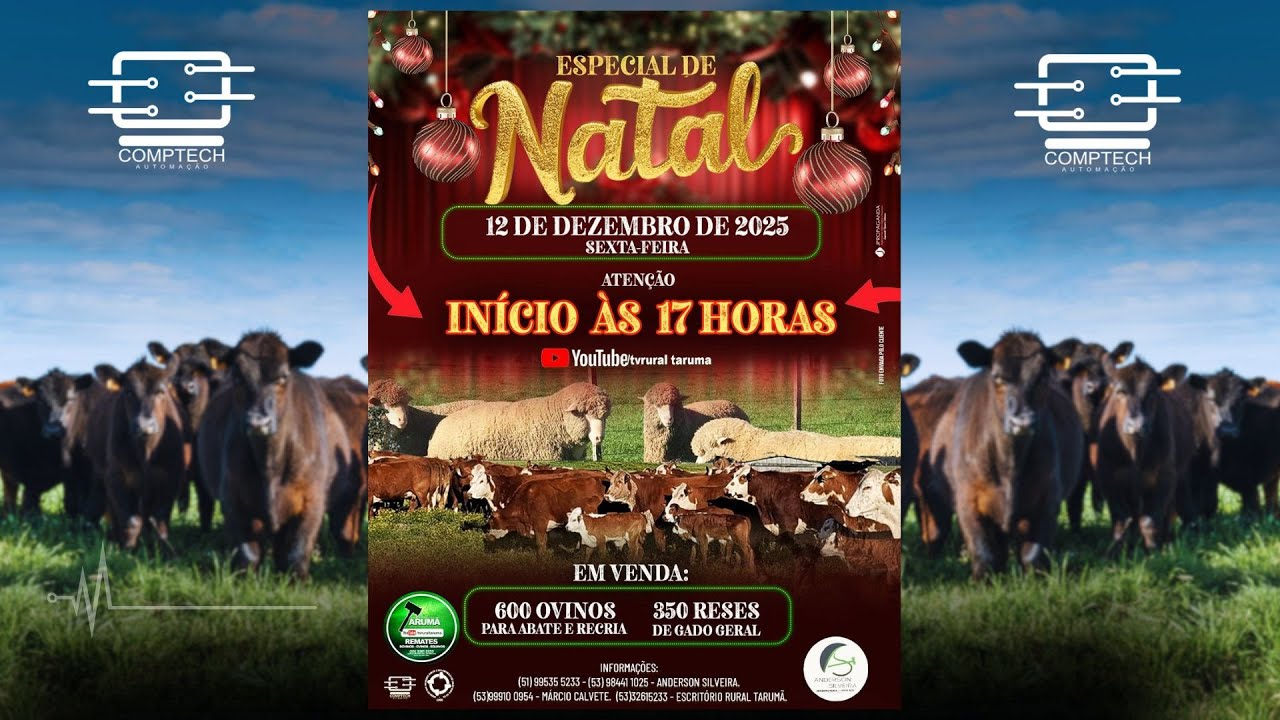 REMATE ESPECIAL DE NATAL  - ESC. RURAL TARUM&Atilde; - 12/12/2025 - 17H