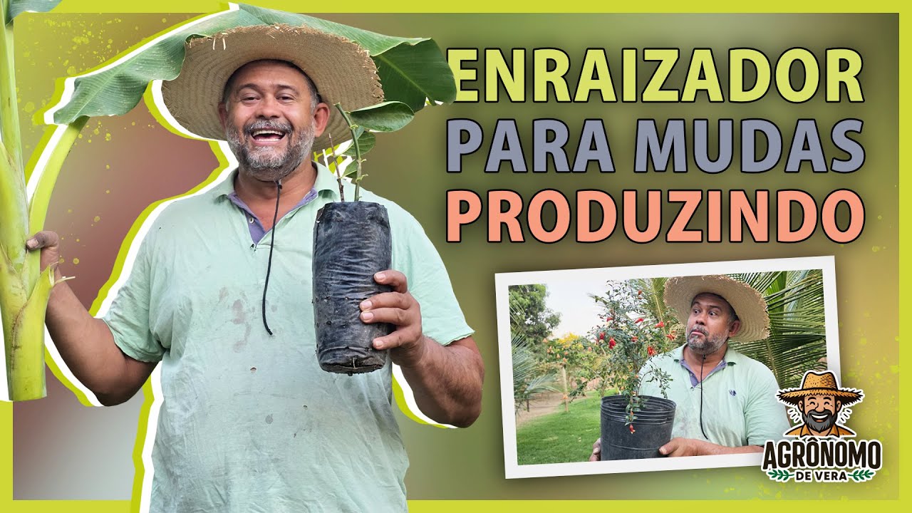 Como fazer MUDAS rápido e já PRODUTIVAS