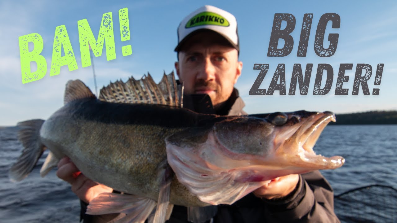 STOR GÖS / BIG ZANDER - TURUS UKKO