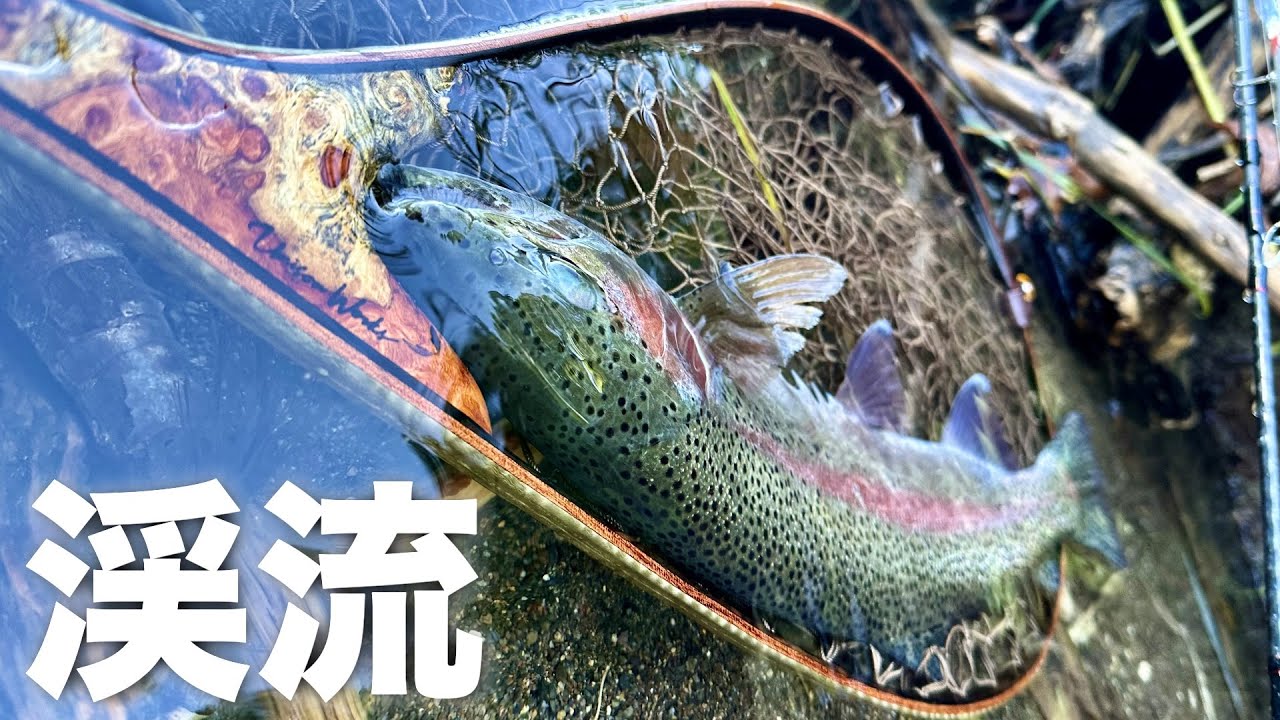 秋の渓流、落鮎パターン？