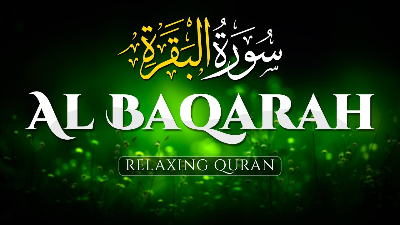 Surah Al Baqarah (سورة البقره) Best Heart Touching and Soothing Holy Quran Recitation - ALAA AQEL