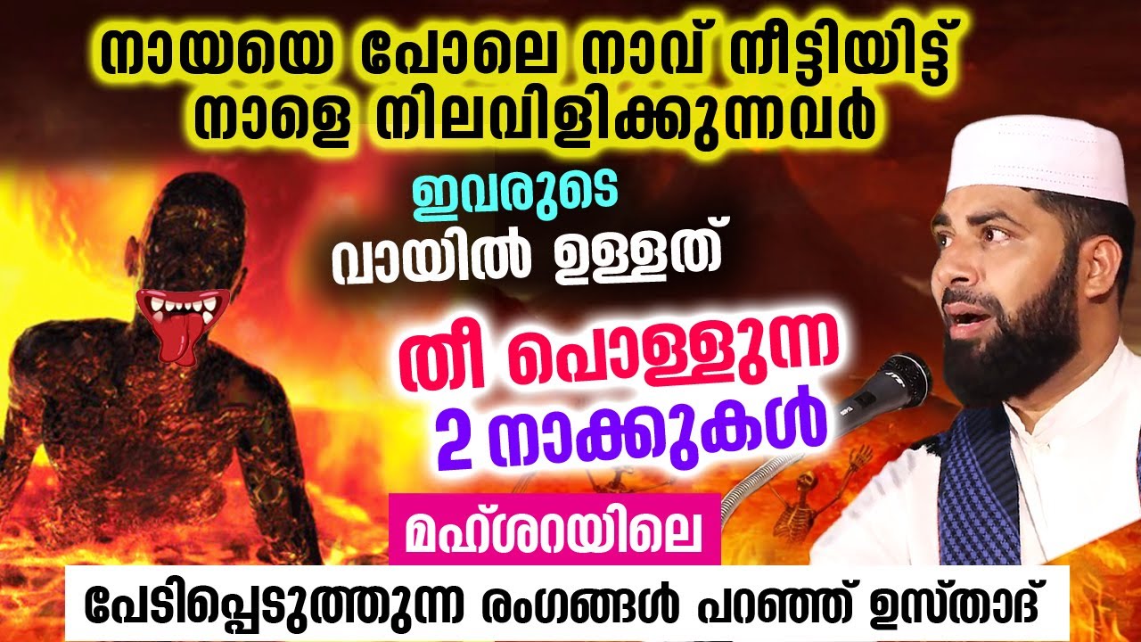 മഹ്ശറയിൽ നായയെ പോലെ നാവ് നീട്ടി നില വിളിക്കും ഈക്കൂട്ടർ... കാരണം കേട്ടോ Sirajudheen Qasimi Latest