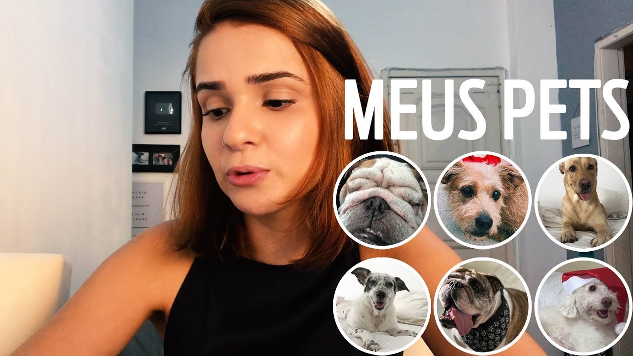 QUADRO NOVO: PETS!