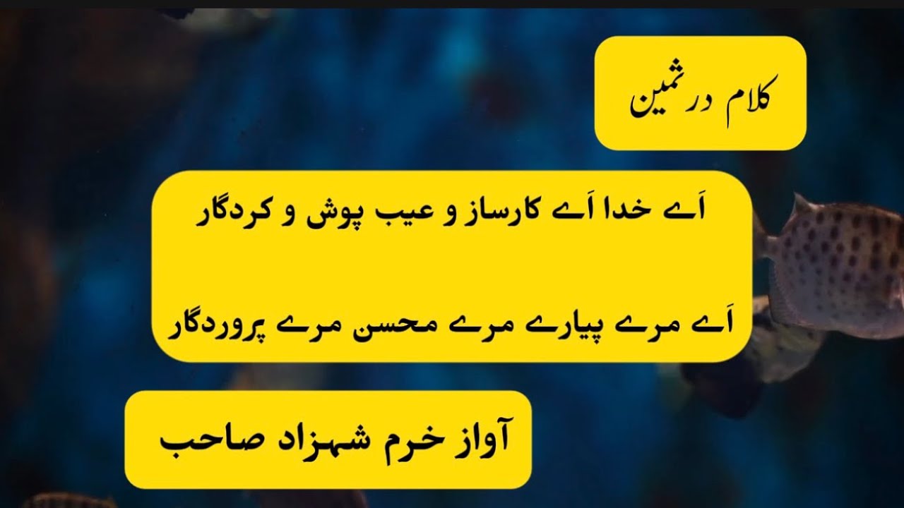 Nazam aye khuda aye karsazo |اے خدا اے کارسازو |Dur e Sameen | voice Khurram Shahzad #mta #viral 