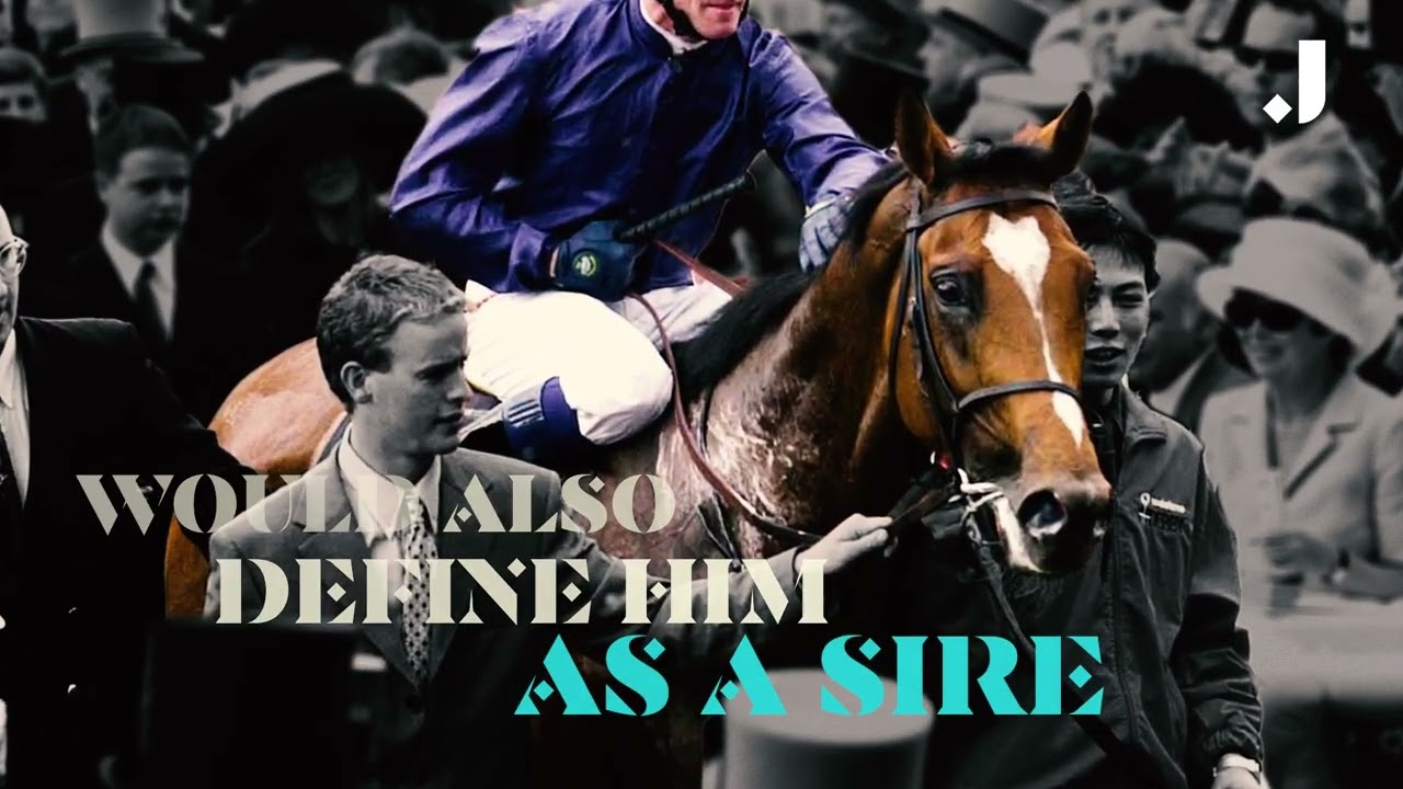 The most INCREDIBLE racehorse EVER... Galileo
