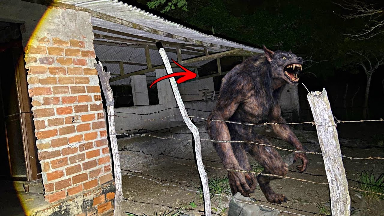 LOBISOMEM INVADE SÍTIO DE MADRUGADA - Noite de Pânico🐺🌕