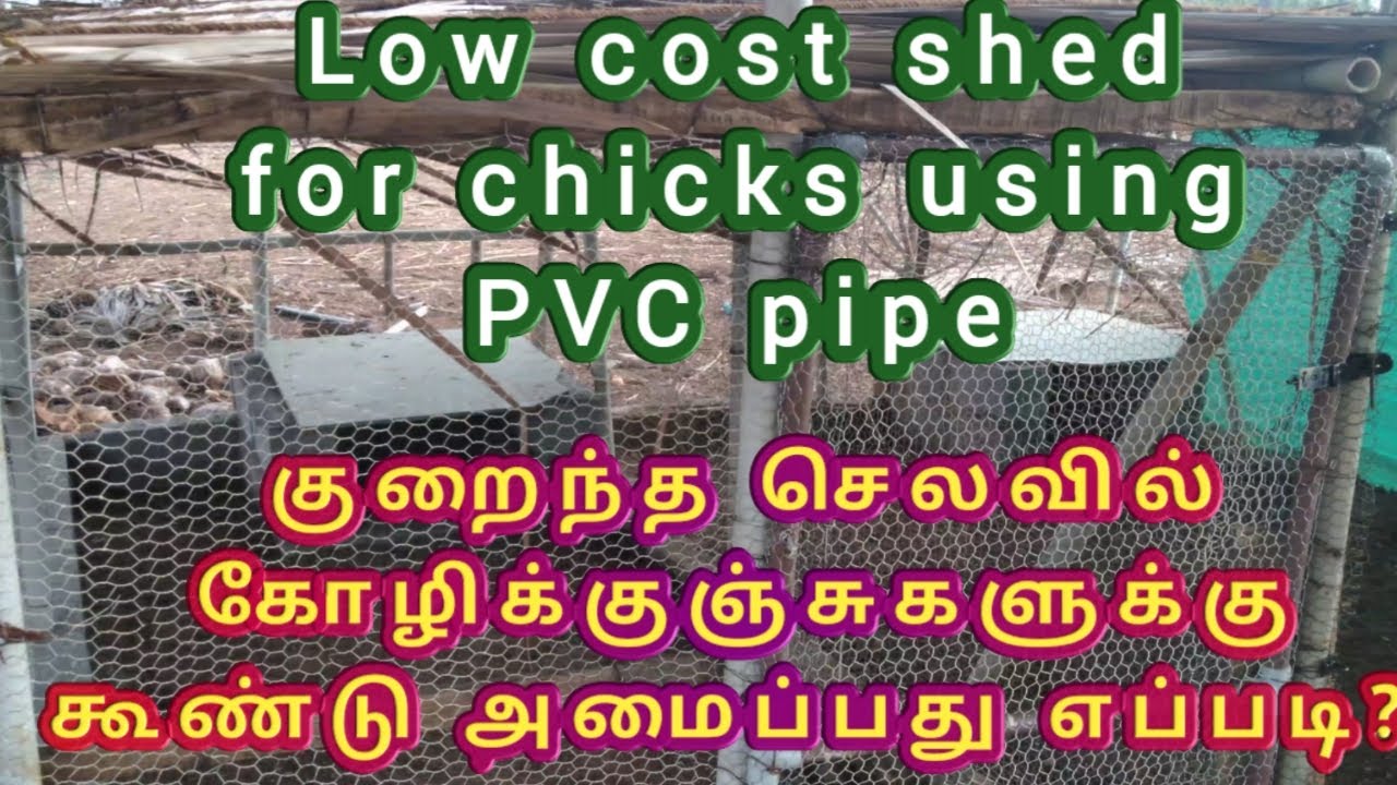நாட்டுக்கோழி குஞ்சுகளுக்கு குறைந்த செலவில் கூண்டு அமைப்பது எப்படி? PART-1|| Low cost shed for chicks