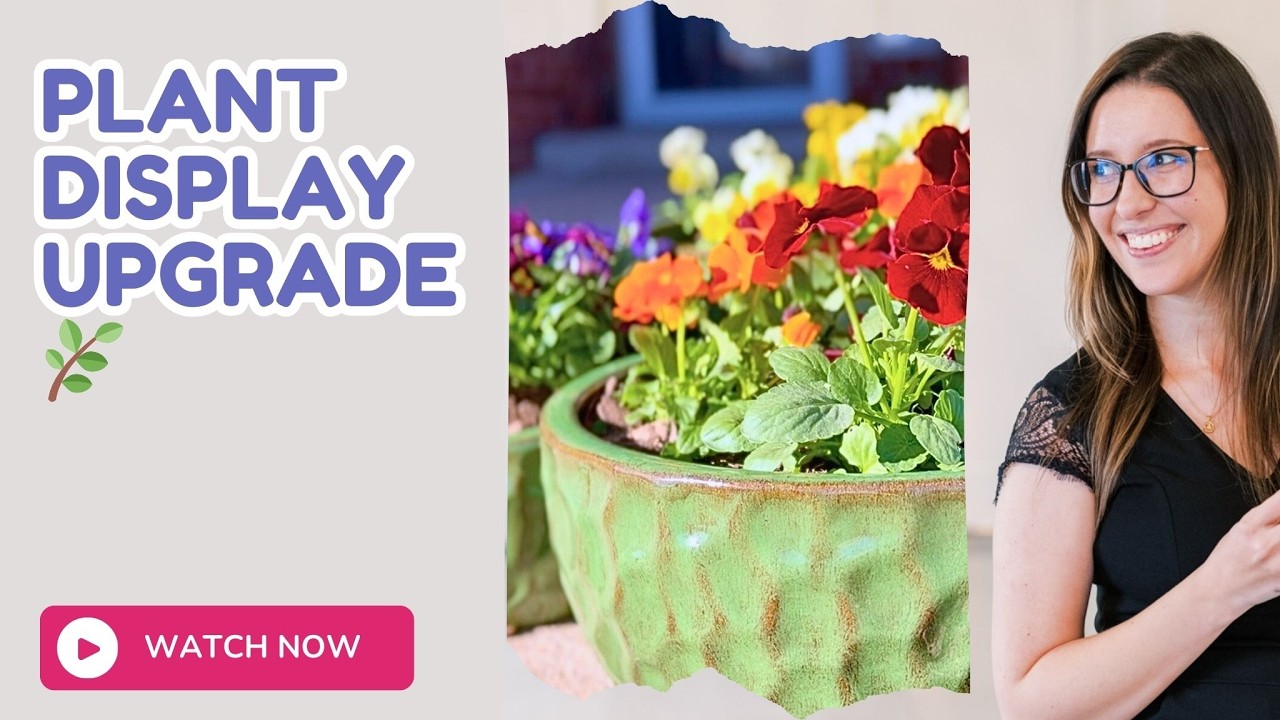 #ad Antique Green Planter Set Review – Indoor & Outdoor Style