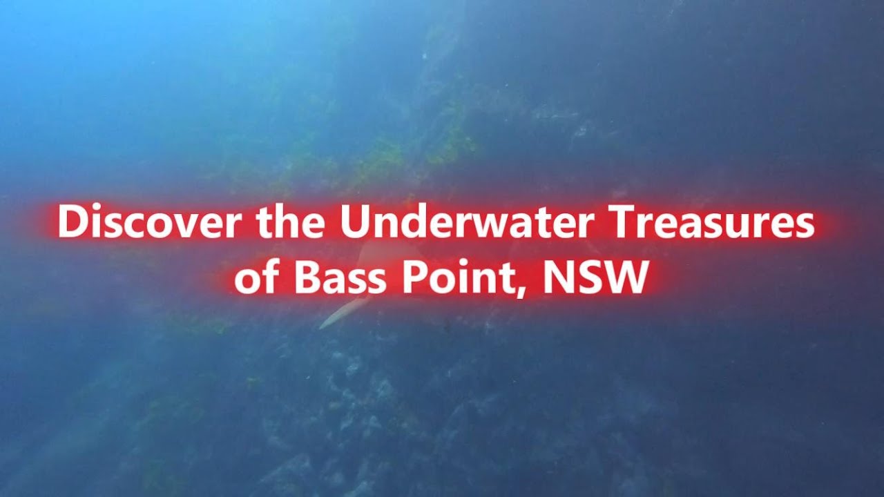 Discover the Underwater Treasures of Bass Point, NSW