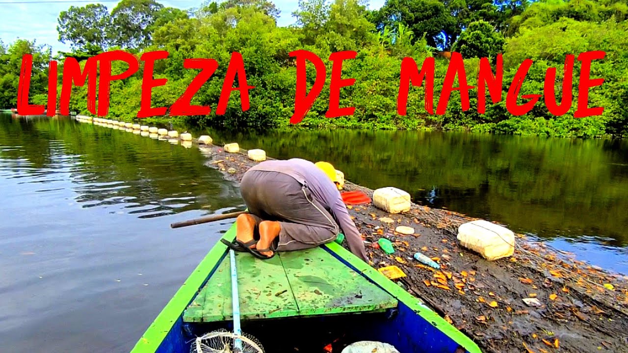 Limpeza de rio por ecobarreira 