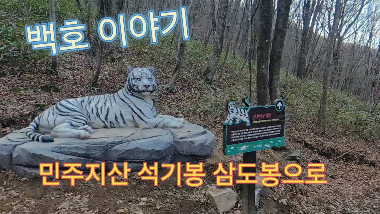 삼도가 만나는 곳까지.. 민주지산!!!