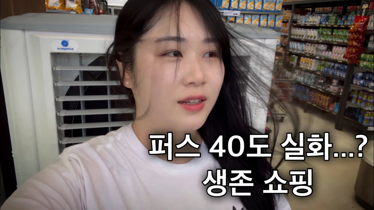호주 퍼스 워홀러의 식량 비축 브이로그