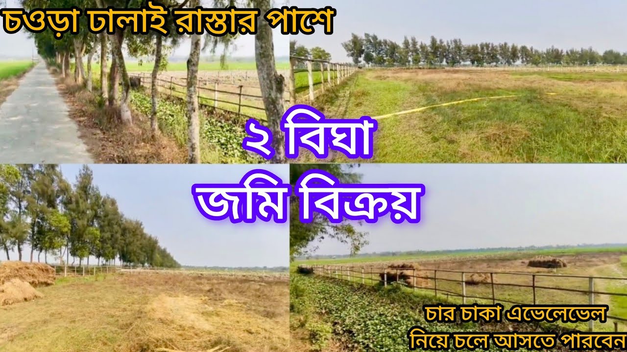 [281] ২ বিঘা জমি বিক্রয় | 2 Bigha Land for Sale | জমির সামনে চওড়া রাস্তা ও ক্যানেল | 