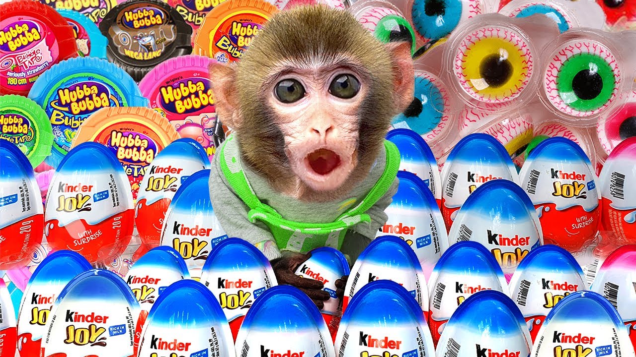 Monkey Baby Kiki loves Kinder Surprise Candy so much | Kudo Animal Family