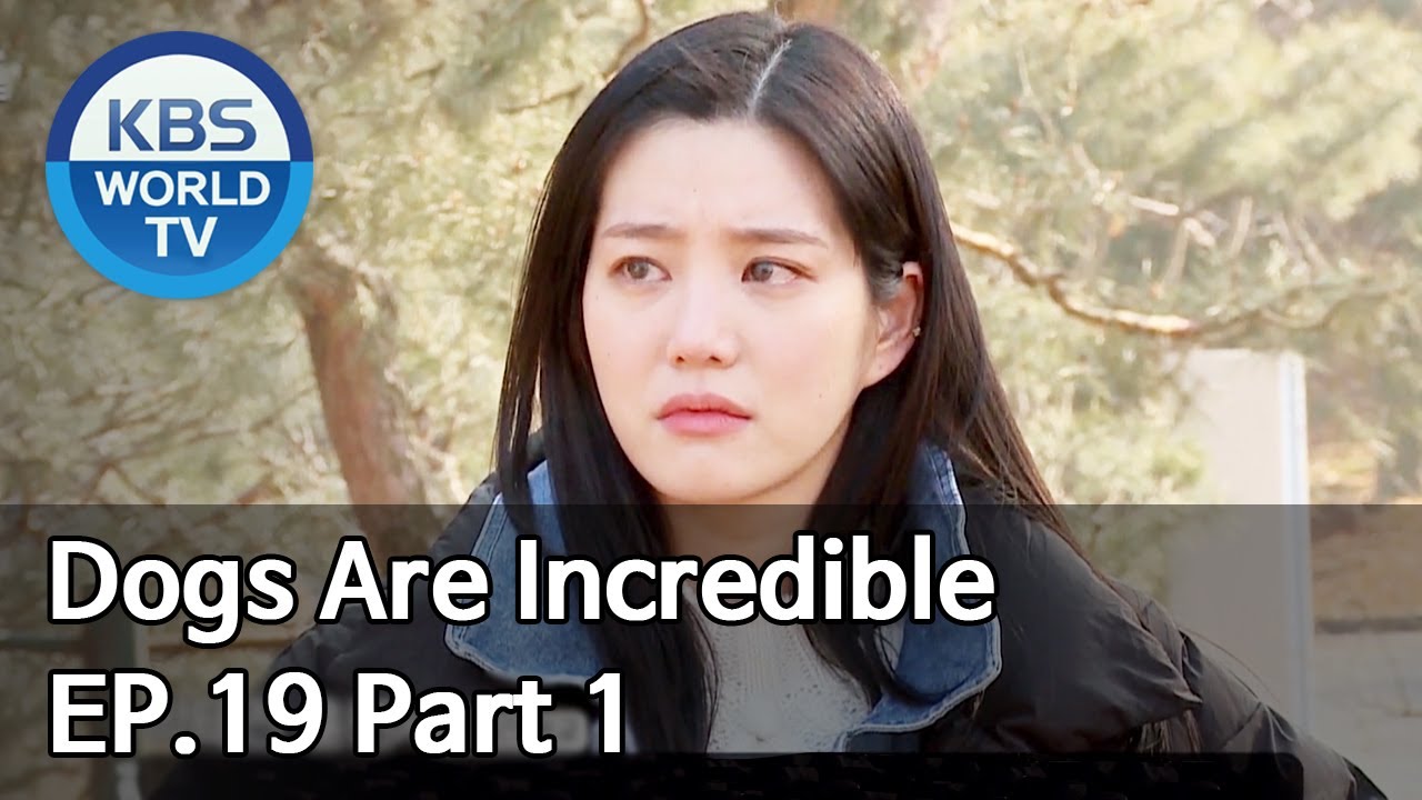 Dogs are incredible | 개는 훌륭하다 EP.19 Part 1 [SUB : ENG/2020.03.31]