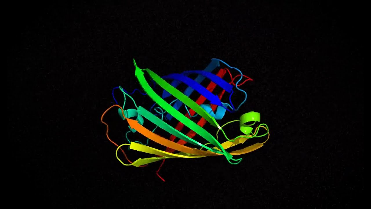 Simulation of mCherry