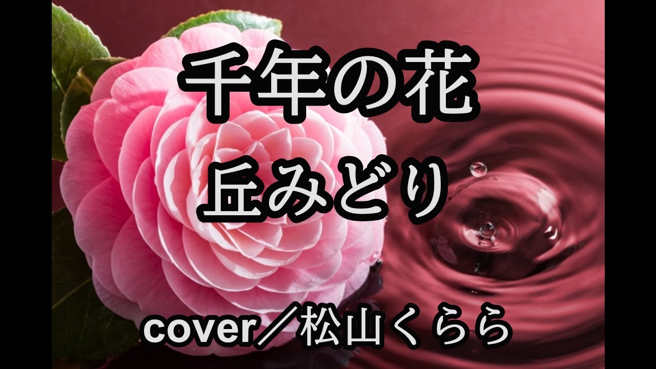 新曲【千年の花　丘みどり】-3　cover／松山くらら