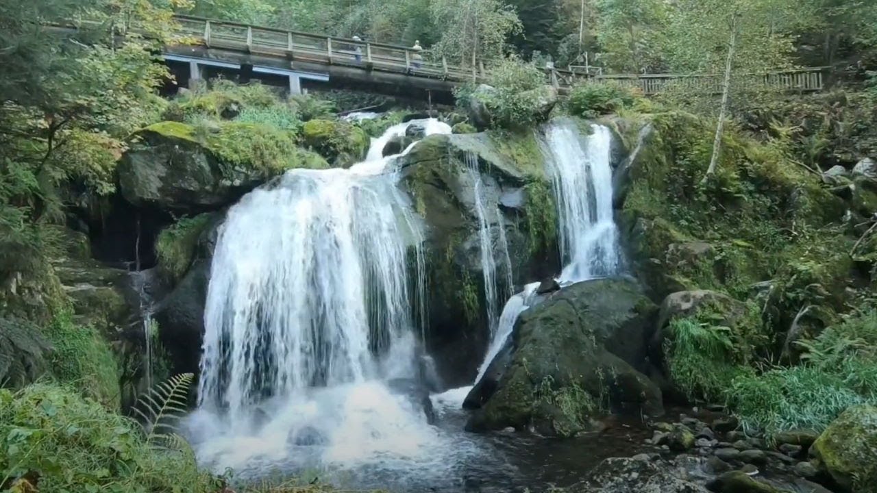 Campertrip 2021 - Dag 4 - Baden Baden (Bühl) via Zwarte Woud naar Luzern - 4k