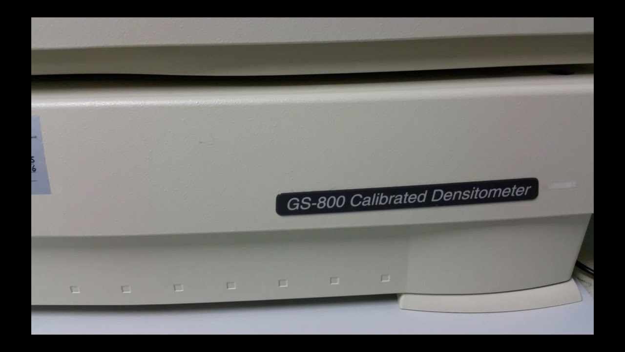 How to take/scan SDS PAGE gel photo using Densitometer GS800 Calibrated Densitometer