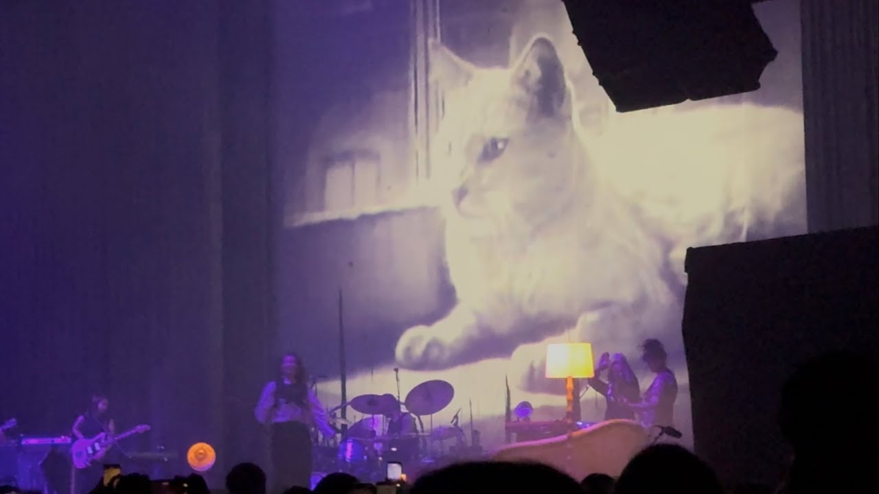 Mitski “That Darn Cat” 3/5/2026 The Shed, New York, NY