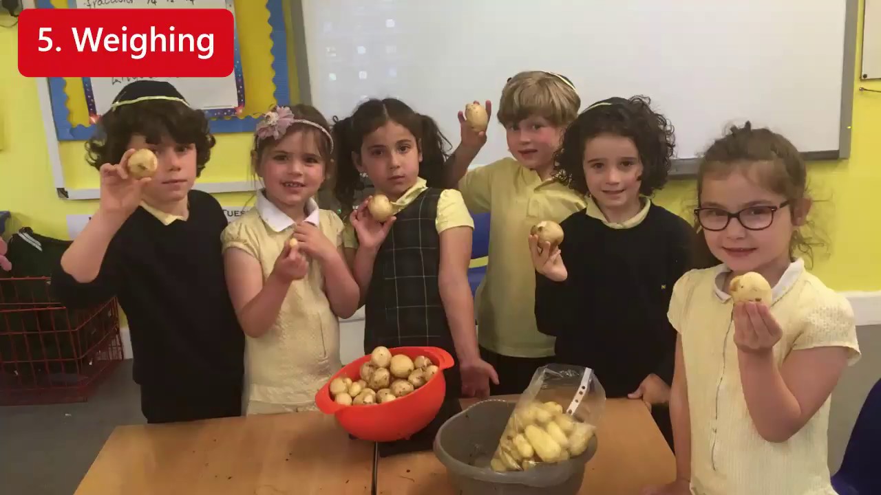 NRPS GYOP Video