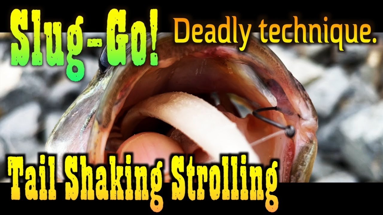 Bass Can’t Ignore This – The Deadly Roll Slug-Go Technique Revealed