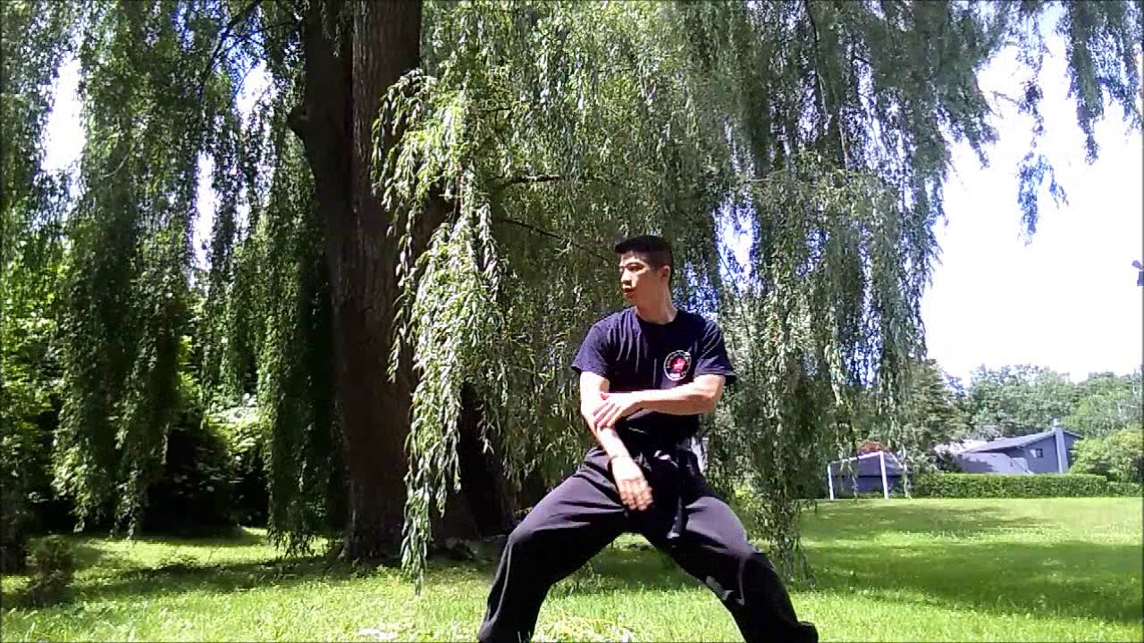 Nathan Lam-Dai Bak Seen-Fut gar 2018